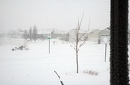 xmas2008-blizzard