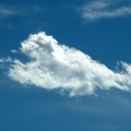 whale-cloud.jpg