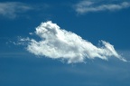 whale-cloud